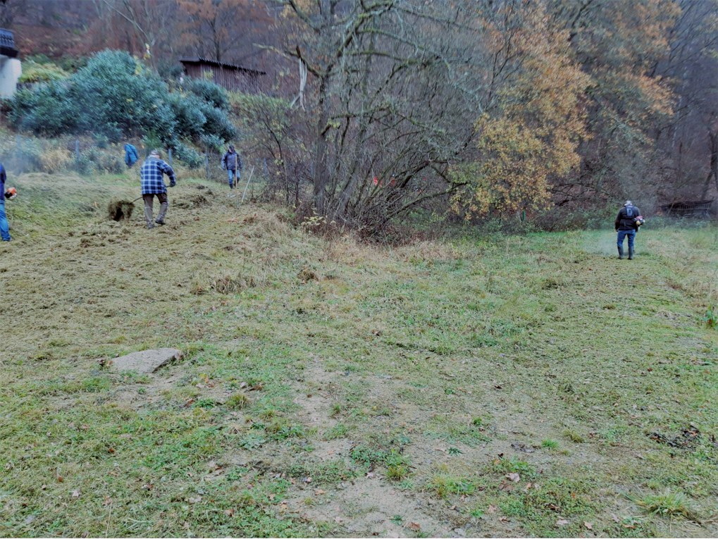 bild3
